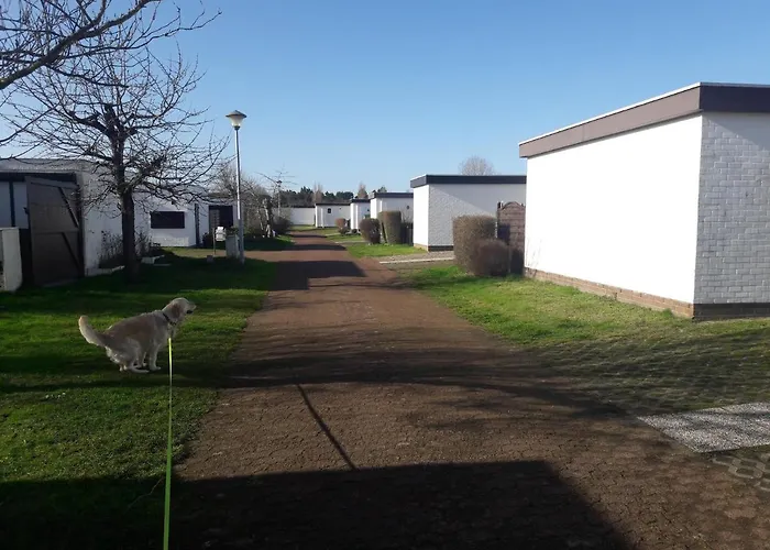 Le Petit Blekker Holiday home